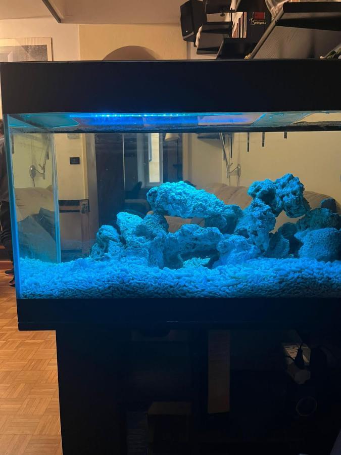 Апартаменти Red Sun Acquarium Болонья Екстер'єр фото